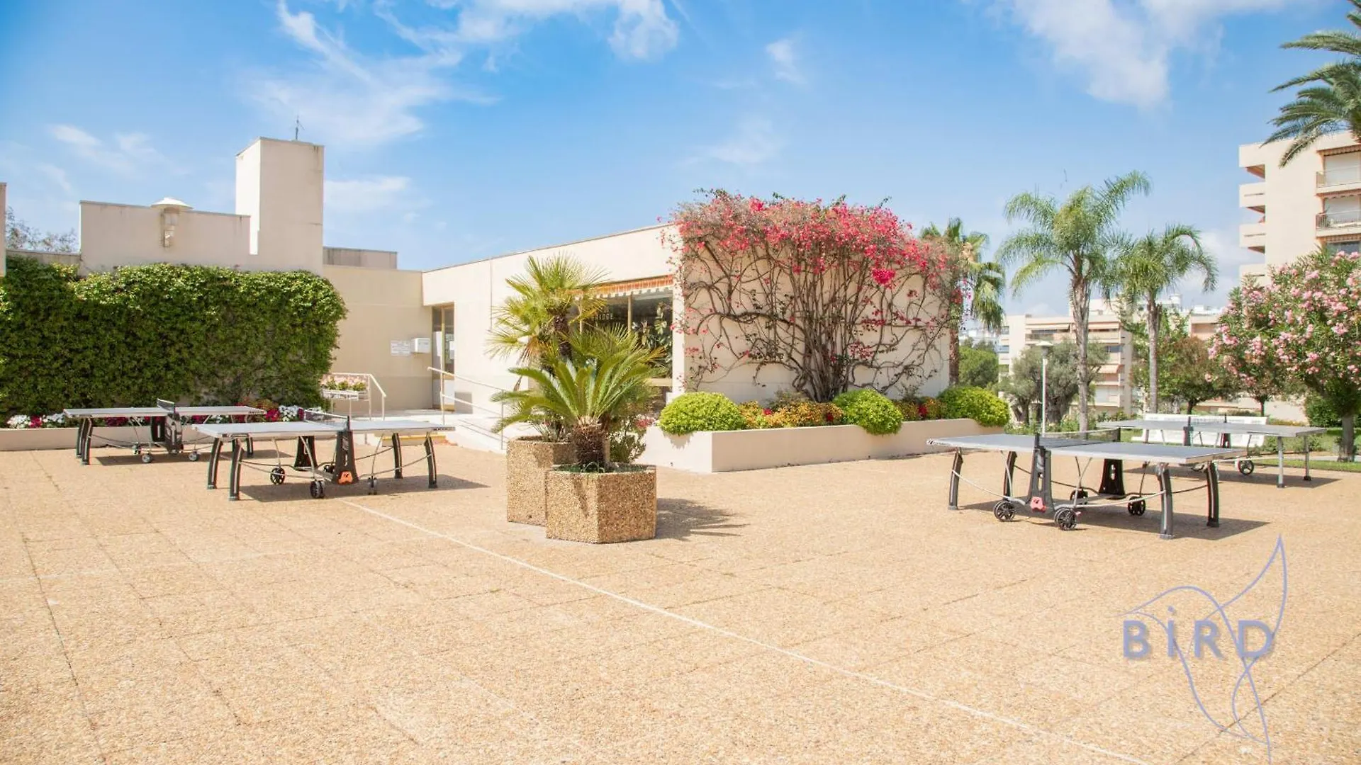 Apartment Nice Flat With Hot Pool Juan-les-Pins