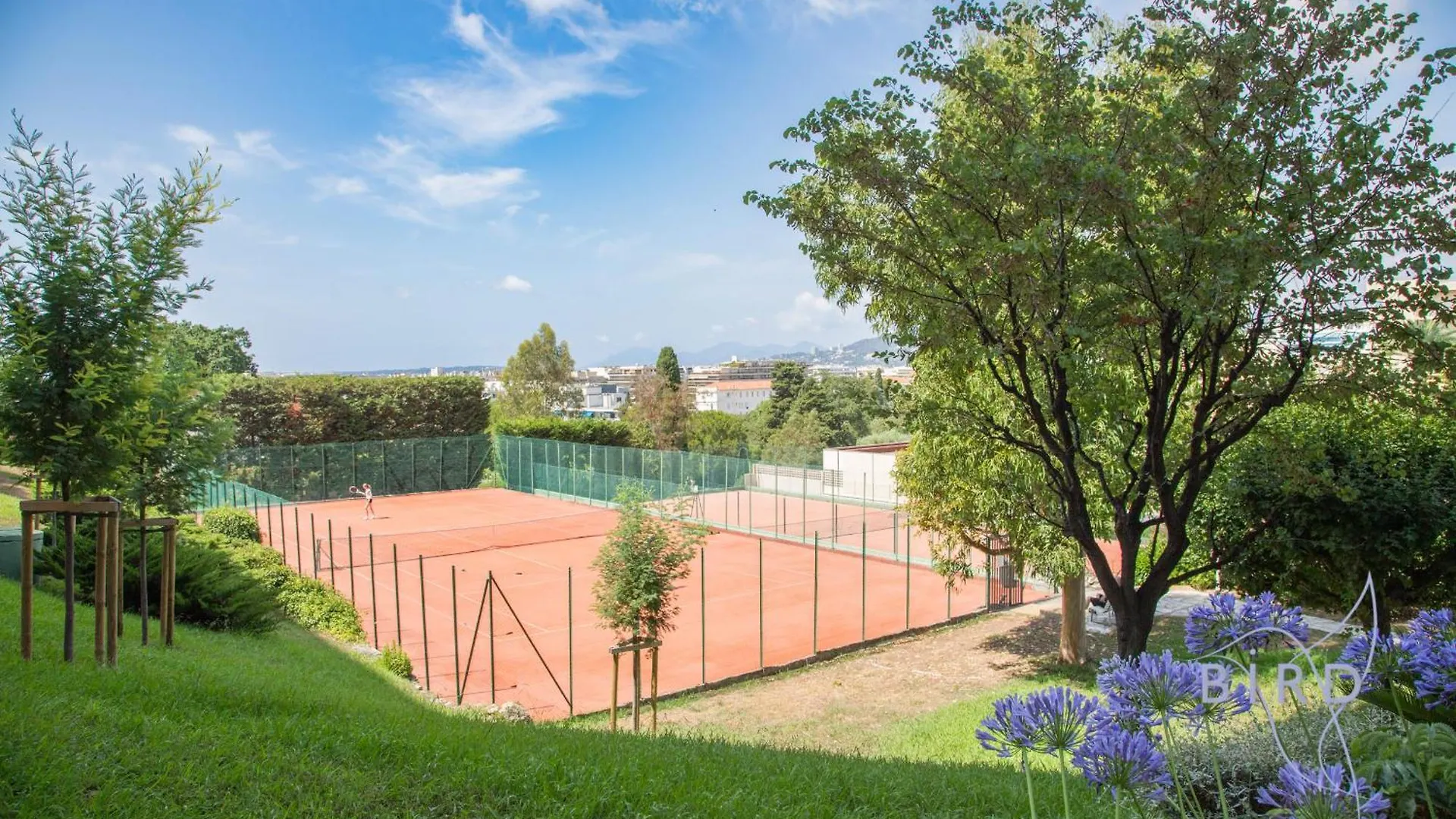 Nice Flat With Hot Pool Juan-les-Pins